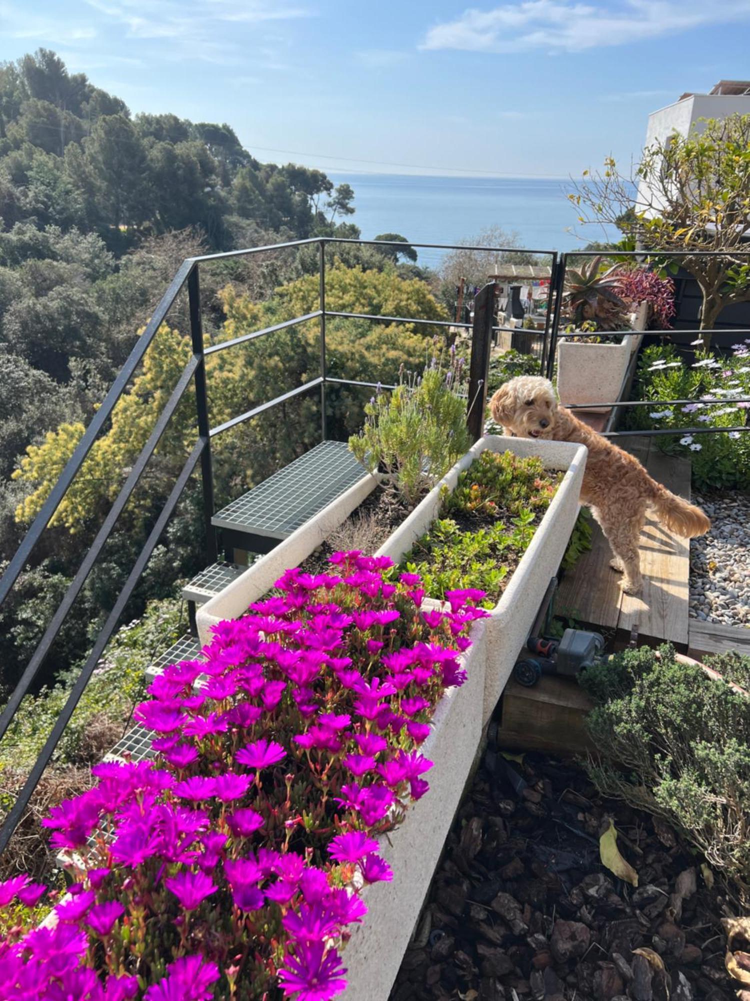 Casa Karian Apartman Tossa de Mar Kültér fotó